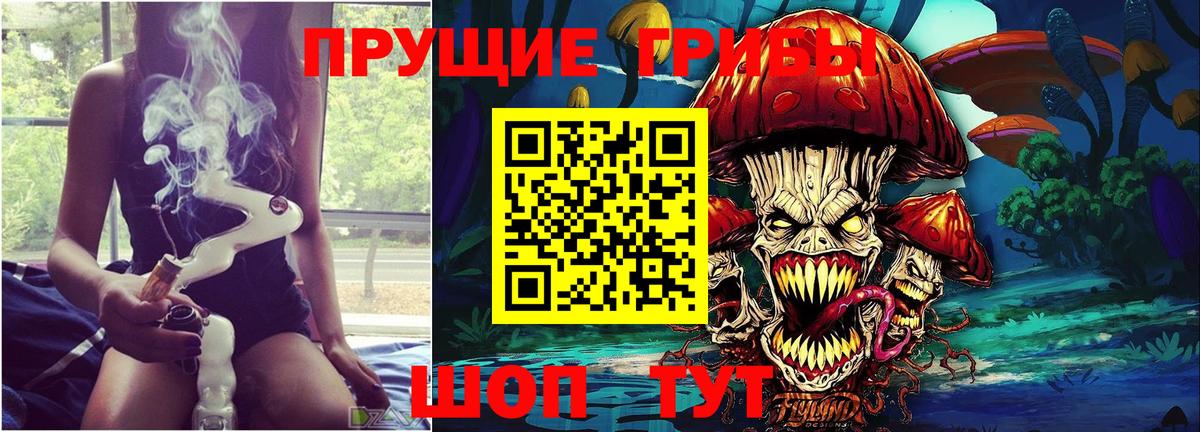 хочу наркоту  Вход с VPN  Красноярск  Галлюциногенные грибы Magic Shrooms  Псилоцибиновые грибы Cubensis 