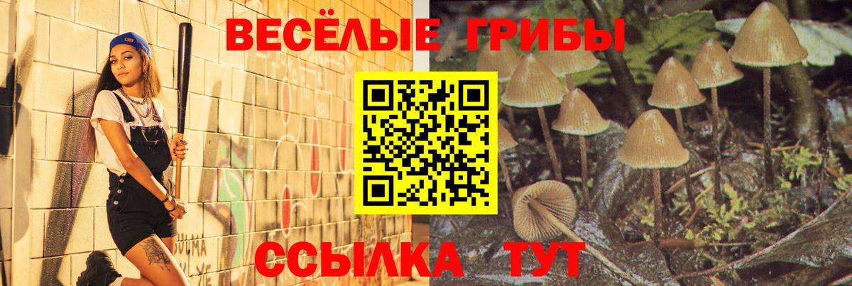 Псилоцибиновые грибы MAGIC MUSHROOMS Красноярск